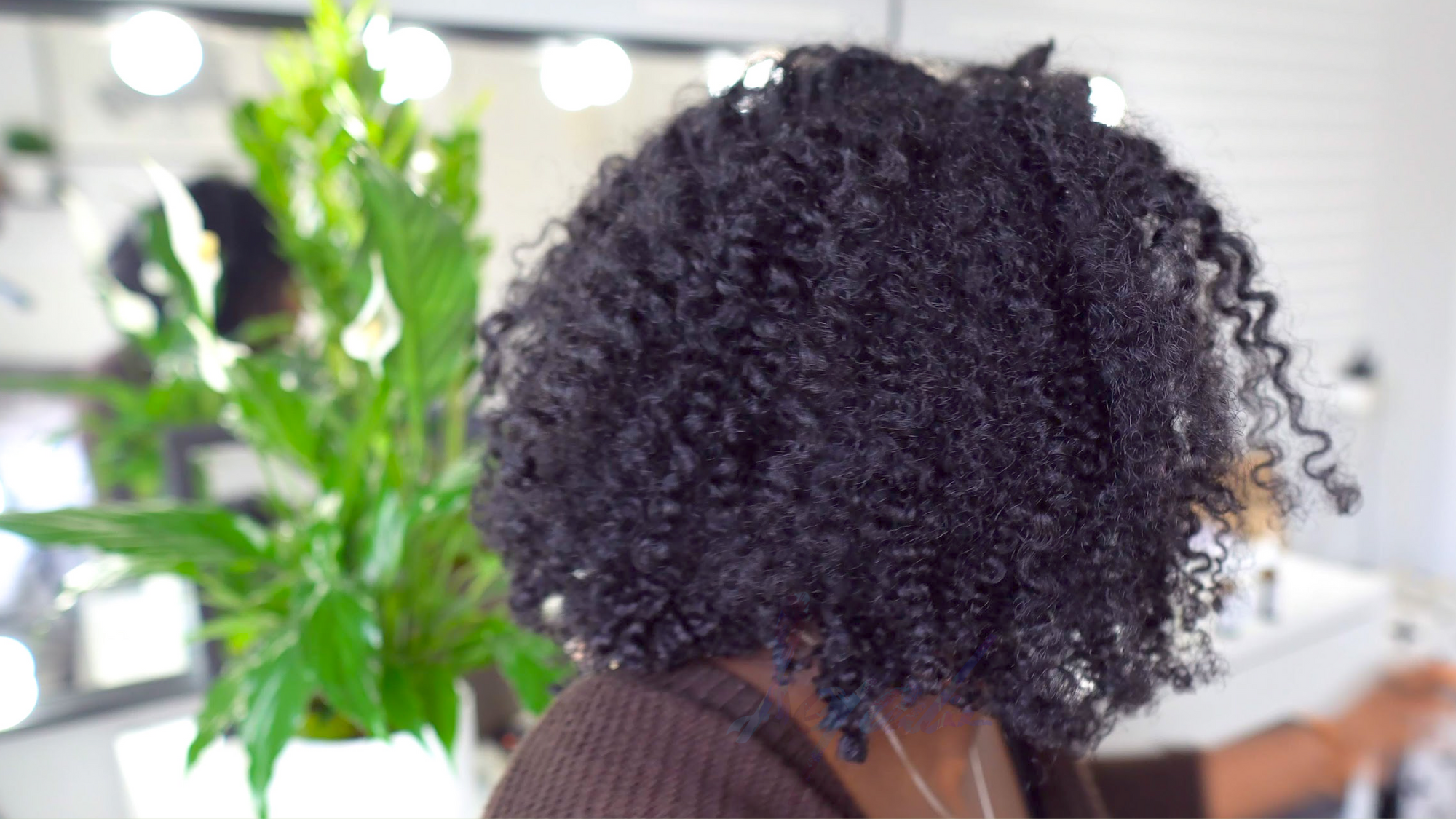 AQ Online's Top 5 Favourite Natural Hair Products- AQ Online