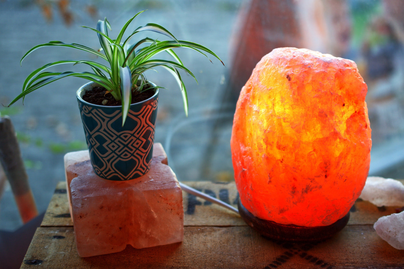 Himalayan Crystal salt lamp next to a crystal lamp and plant. AQ Online salt lamp collection.